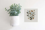 OVERSTOCK: Mini Inserts Now 40% OFF