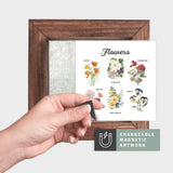 Magnetic Seasonal Art Insert for Interchangeable Decor Sign (Mini Insert Only): Flower Chart | Spring