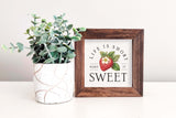 Magnetic Seasonal Art Insert for Interchangeable Decor Sign (Mini Insert Only): Strawberry Life Is Short | Spring / Summer |