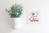 Magnetic Seasonal Decor Insert for Interchangeable Sign (Mini): We're Gonna Party Like It's Your Birthday | Magnetic Sign Blank Sold Separate