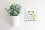 OVERSTOCK: Mini Inserts Now 40% OFF