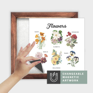 Magnetic Seasonal Art Insert for Interchangeable Decor Sign (Medium Insert Only): Flower Chart | Spring / Summer