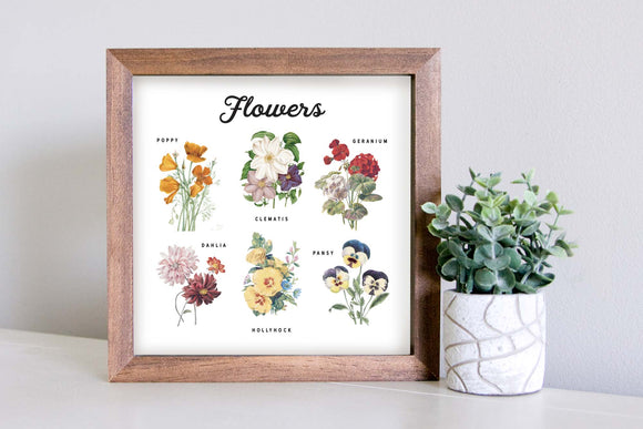 Medium Size Sign Insert: Flower Chart (Spring/Summer) | Magnetic Sign INSERT ONLY