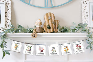 Magnetic Banner Insert: Flower Seed Packet (Spring) | Magnetic Banner INSERTS ONLY