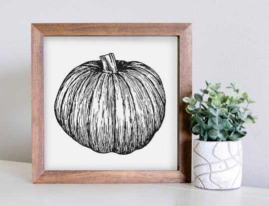 SLIGHTLY FLAWED Medium Size Sign Insert: Pumpkin Sketch B&W (Fall/Halloween/Thanksgiving) | Magnetic Sign INSERT ONLY