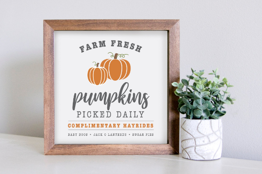 Medium Size Sign Insert: Farm Fresh Pumpkins COLOR (Fall/Thanksgiving) | Magnetic Sign INSERT ONLY