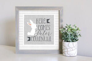 Medium Size Sign Insert: Here Comes Peter Cottontail (Easter/Spring) | Magnetic Sign INSERT ONLY