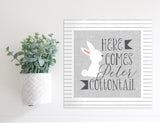 Medium Size Sign Insert: Here Comes Peter Cottontail (Easter/Spring) | Magnetic Sign INSERT ONLY