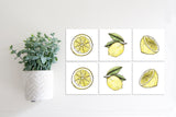 Magnetic Banner Insert: Lemons (Spring/Summer) | Magnetic Banner INSERTS ONLY