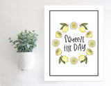 Magnetic Wall Hanging Insert: Squeeze the Day (Summer) | INSERT ONLY