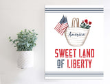 SLIGHTLY FLAWED Magnetic Wall Hanging Insert: Sweet Land of Liberty (Fourth of July/Summer) | INSERT ONLY